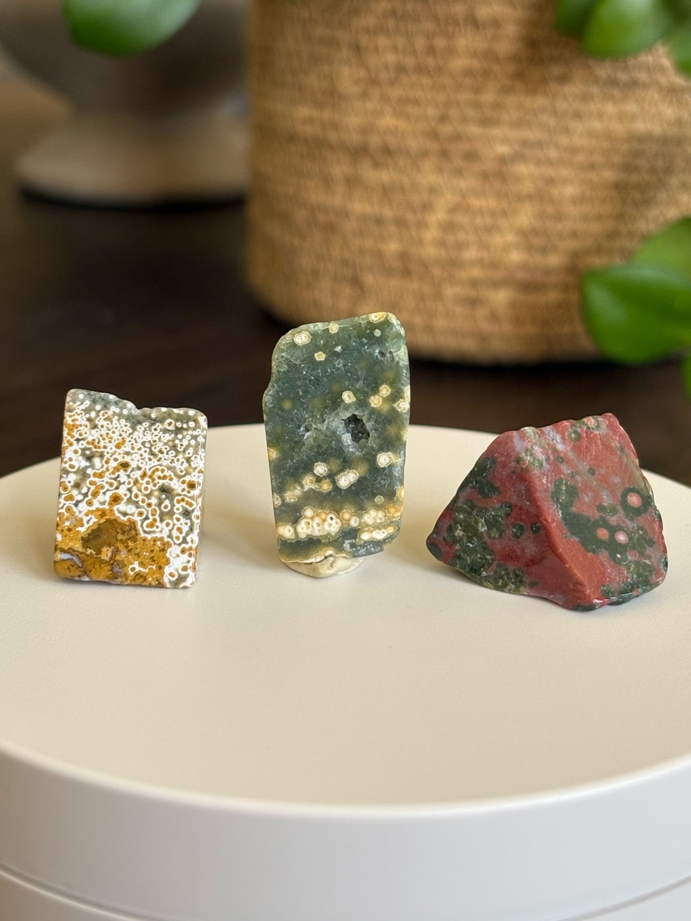 Ocean Jasper Crystal Set - Polished Sea Jasper Bundle